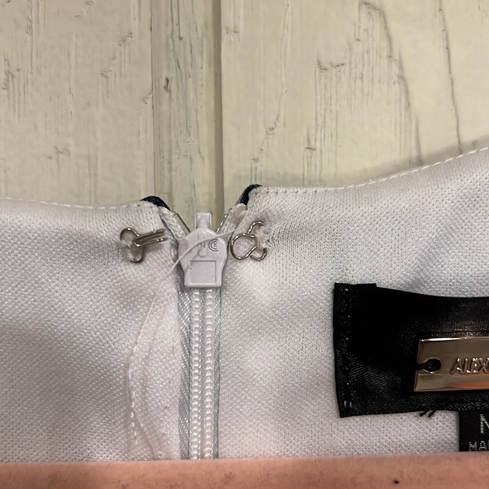 Alexia Admor Dress, Size M - Picture 8 of 11